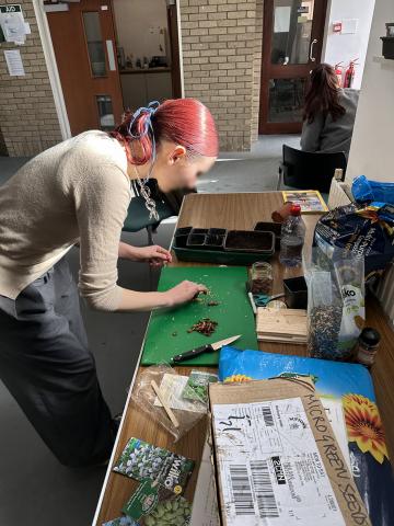 Planting seeds