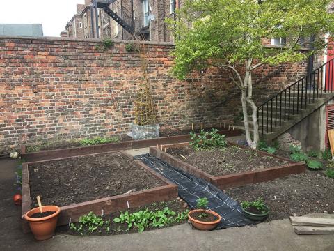 Starting to plant